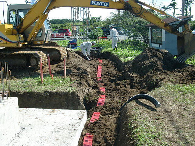 tdt004.jpg