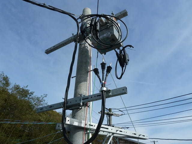oyk-nse-004-min.jpg