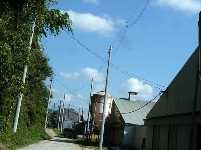 oyk-nsn-006-min.jpg